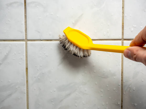 Professional Mold Removal in Hickory Creek, TX